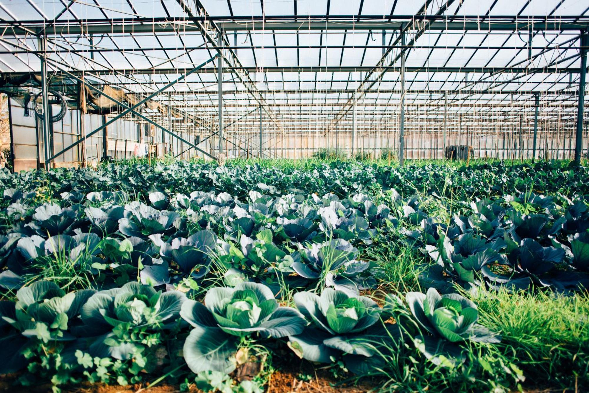 Su Leunaxiu Soleminis Ngoại thất bức ảnh